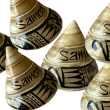 "NEW" Glam Shell (aliao shell)
